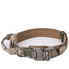 Dog Collar Leash  & Leash  Set