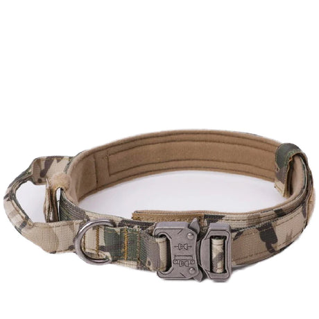 Dog Collar Leash  & Leash  Set