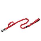 Dog Collar Leash  & Leash  Set