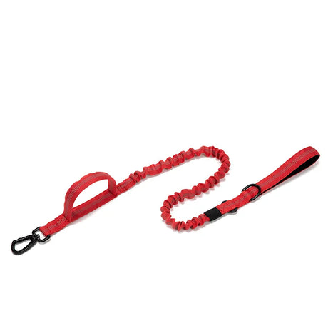 Dog Collar Leash  & Leash  Set