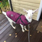 Waterproof Warm Dog Jacket Vest Dog Stuff  