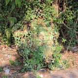 3D Camouflage Sun Shade Netting army surplus  