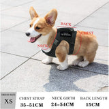 Dog Harness Leash Set for Small Dogs & Cats Dog Stuff  