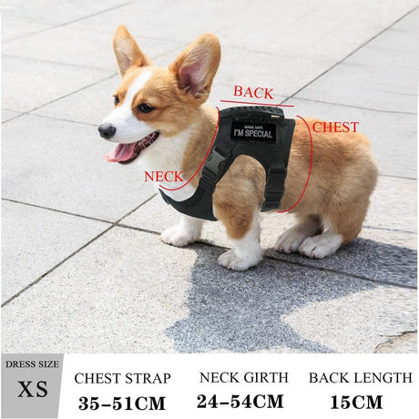 Dog Harness Leash Set for Small Dogs & Cats Dog Stuff  