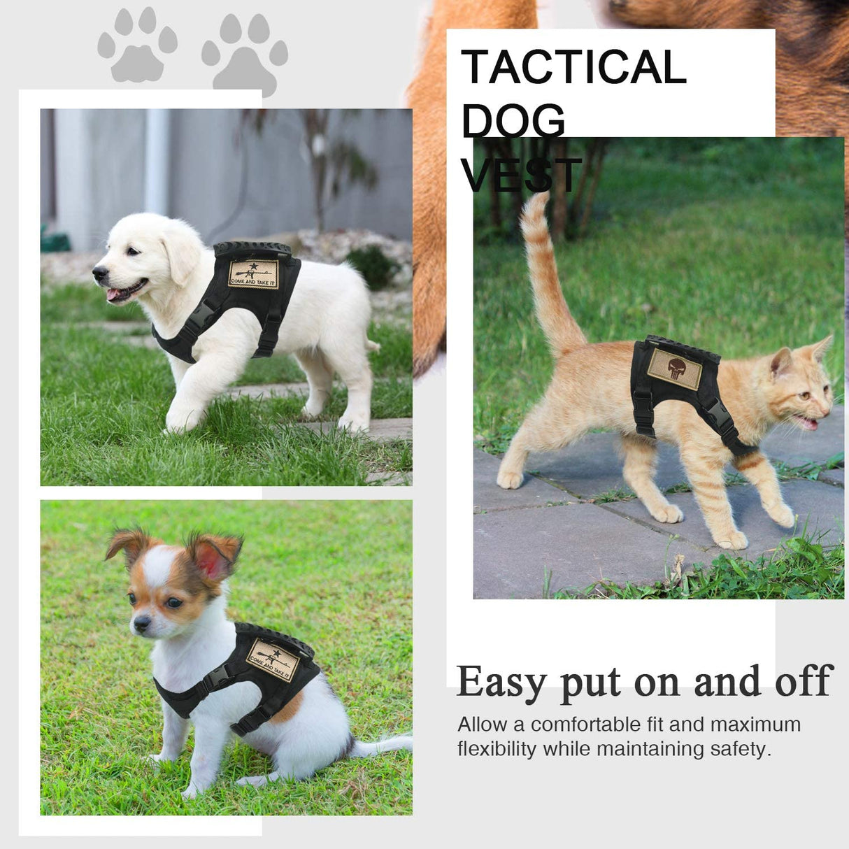 Dog Harness Leash Set for Small Dogs & Cats Dog Stuff  