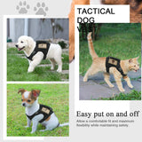 Dog Harness Leash Set for Small Dogs & Cats Dog Stuff  