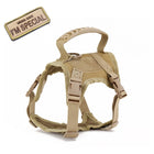 Dog Harness Leash Set for Small Dogs & Cats Dog Stuff  