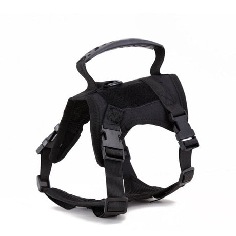 Dog Harness Leash Set for Small Dogs & Cats Dog Stuff  