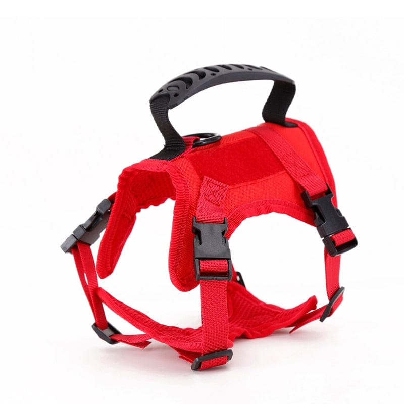 Dog Harness Leash Set for Small Dogs & Cats Dog Stuff  