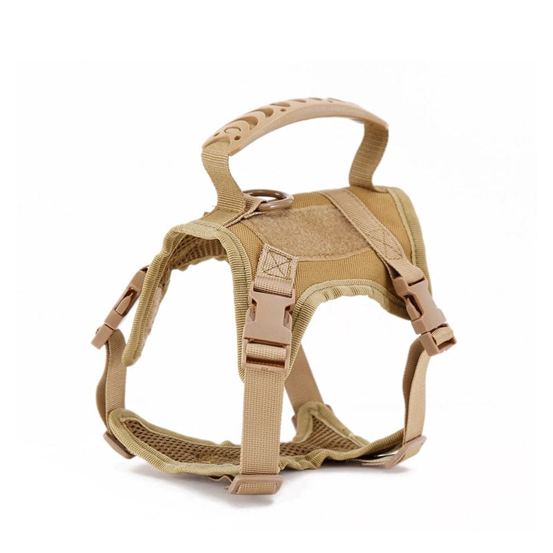 Dog Harness Leash Set for Small Dogs & Cats Dog Stuff  