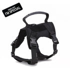Dog Harness Leash Set for Small Dogs & Cats Dog Stuff  