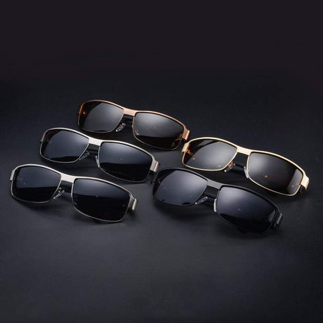 Pilot Polarized Sunglasses  + Case Optics  