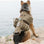 S M L XL Dog Harness Vest with Molle packs Dog Stuff  